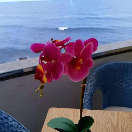 公寓 Ocean Orchidea 拉克鲁斯
