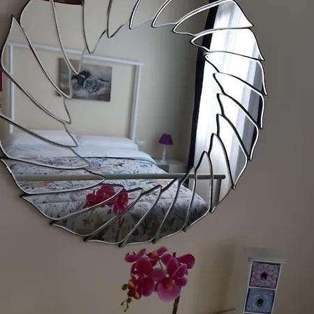Apartament Ocean Orchidea *